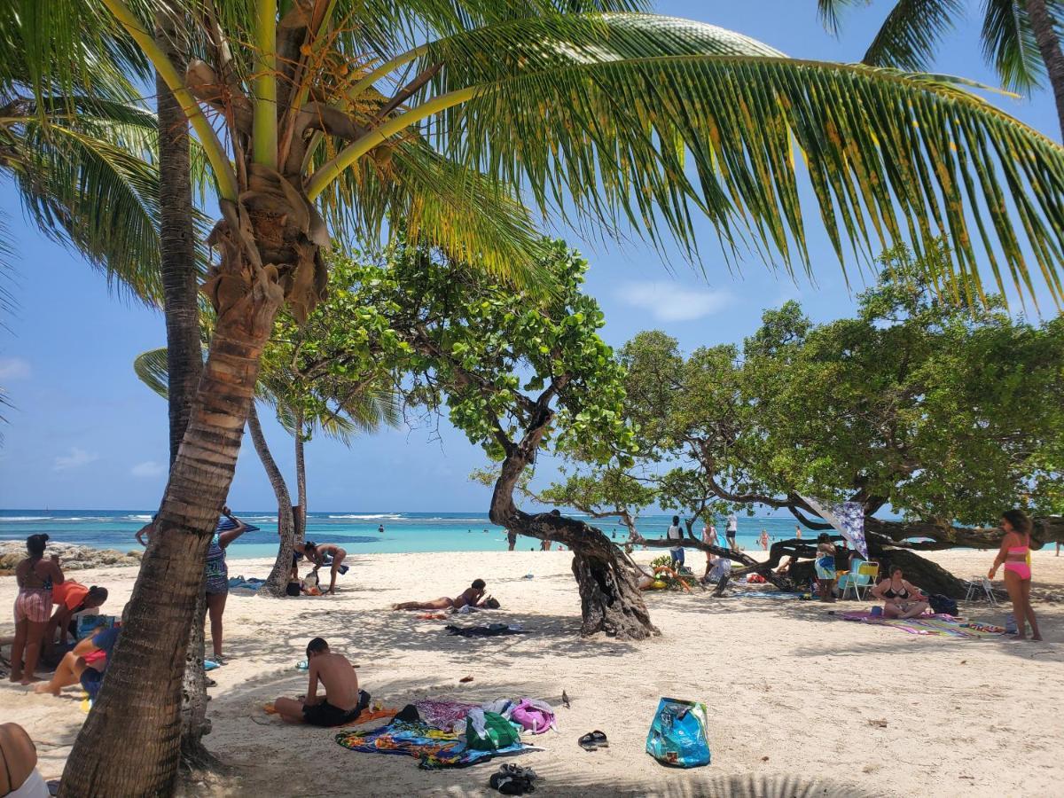 Villa L'Anjou Creole A Sainte Anne En Guadeloupe Avec Piscine Privee Et 2 Chambres Pour 4 Personnes ภายนอก รูปภาพ