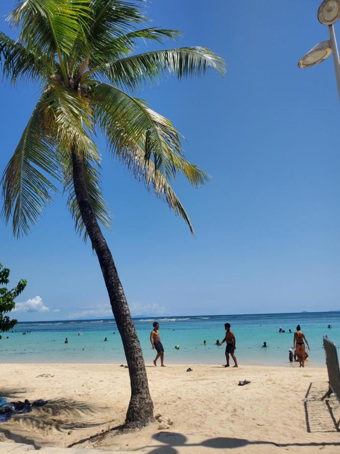 Villa L'Anjou Creole A Sainte Anne En Guadeloupe Avec Piscine Privee Et 2 Chambres Pour 4 Personnes ภายนอก รูปภาพ