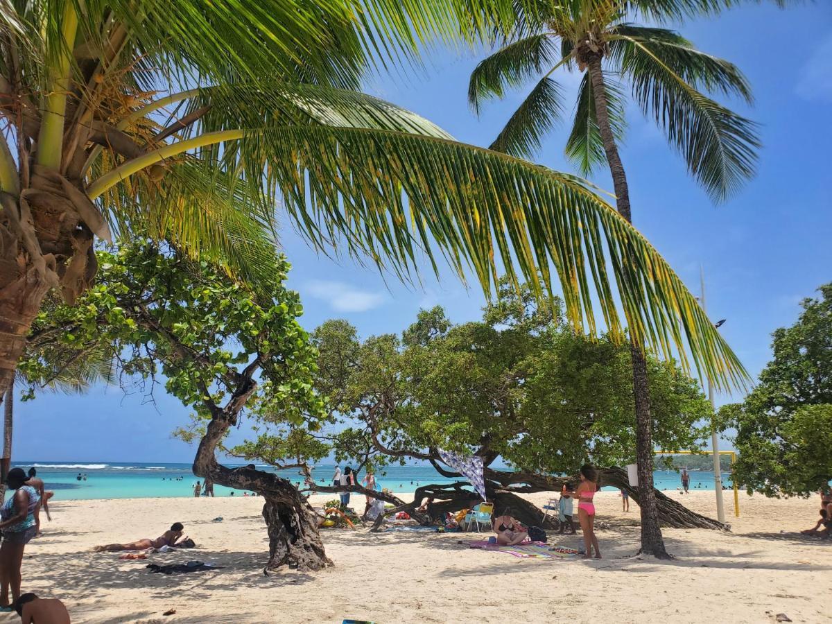Villa L'Anjou Creole A Sainte Anne En Guadeloupe Avec Piscine Privee Et 2 Chambres Pour 4 Personnes ภายนอก รูปภาพ