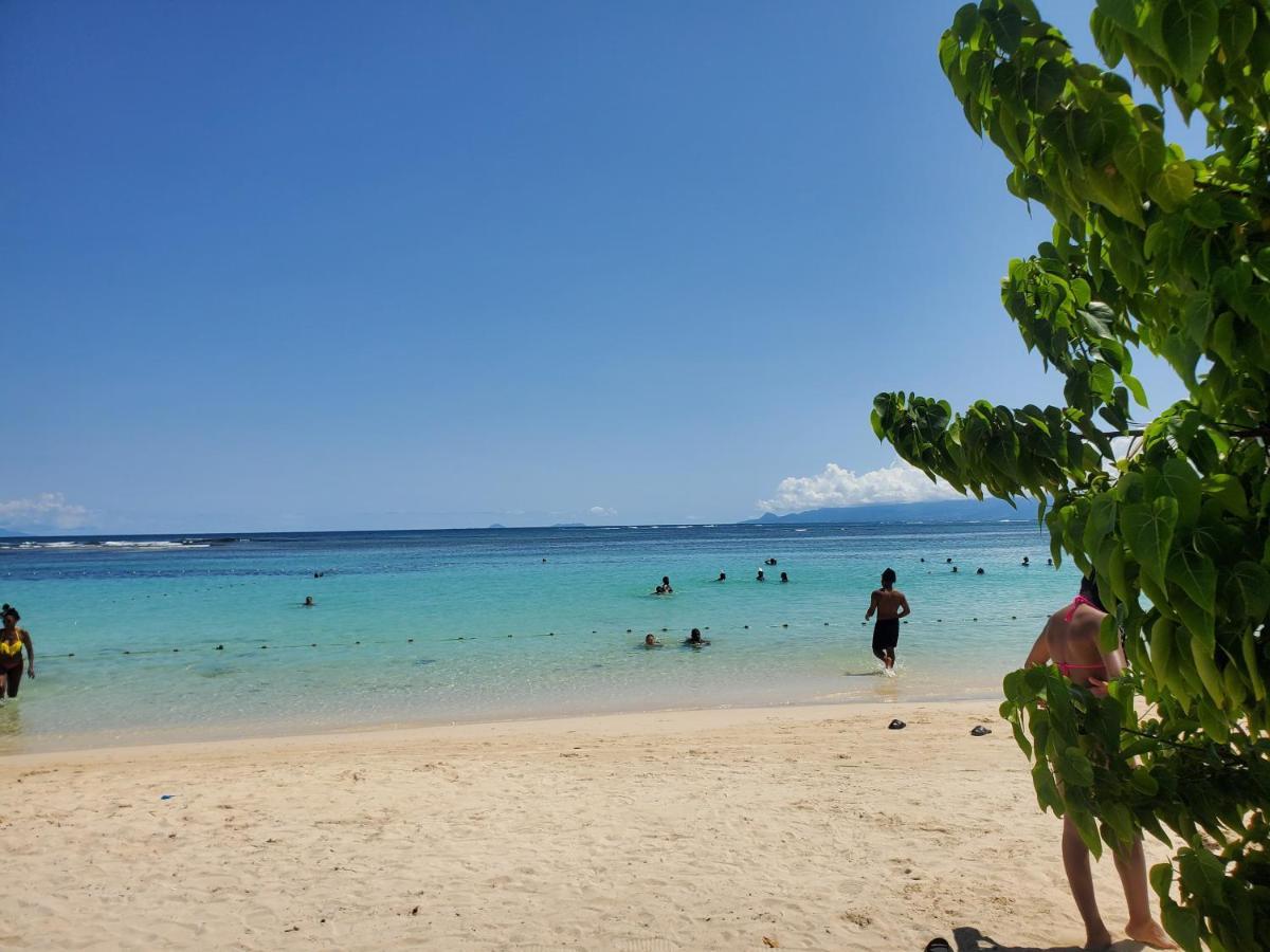 Villa L'Anjou Creole A Sainte Anne En Guadeloupe Avec Piscine Privee Et 2 Chambres Pour 4 Personnes ภายนอก รูปภาพ