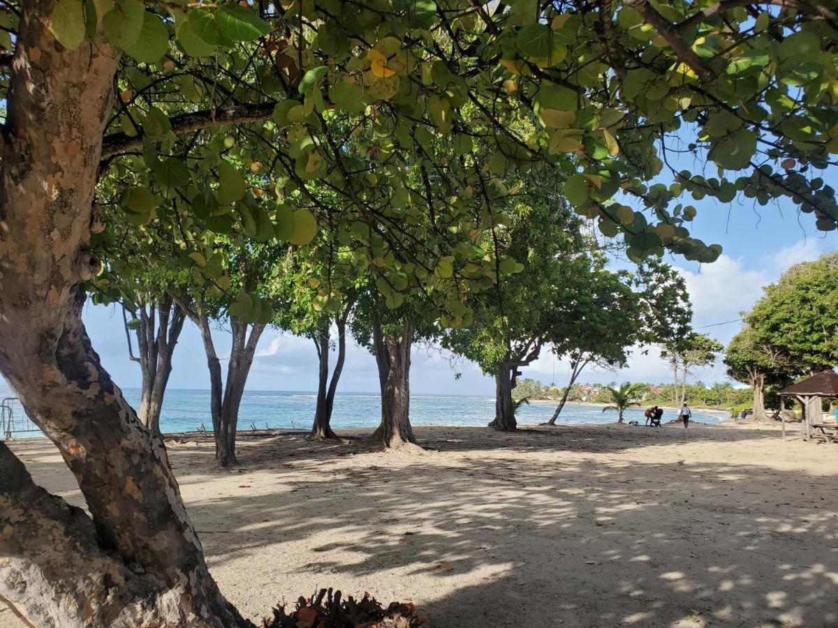Villa L'Anjou Creole A Sainte Anne En Guadeloupe Avec Piscine Privee Et 2 Chambres Pour 4 Personnes ภายนอก รูปภาพ