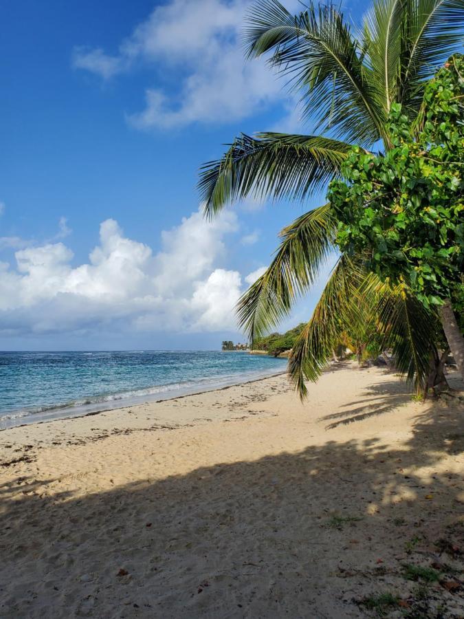 Villa L'Anjou Creole A Sainte Anne En Guadeloupe Avec Piscine Privee Et 2 Chambres Pour 4 Personnes ภายนอก รูปภาพ