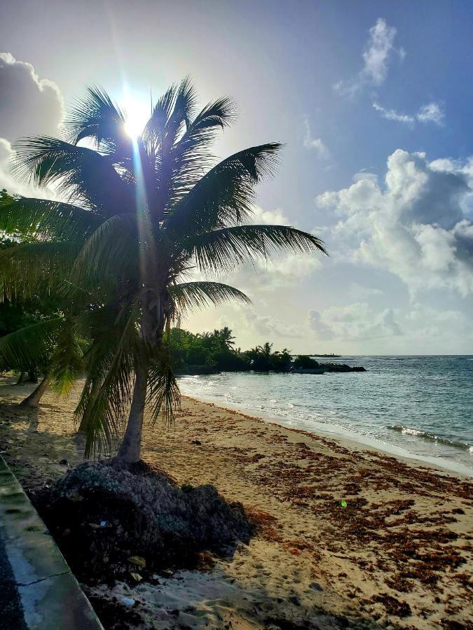 Villa L'Anjou Creole A Sainte Anne En Guadeloupe Avec Piscine Privee Et 2 Chambres Pour 4 Personnes ภายนอก รูปภาพ