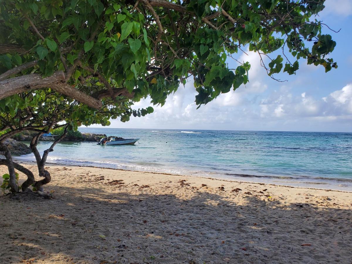 Villa L'Anjou Creole A Sainte Anne En Guadeloupe Avec Piscine Privee Et 2 Chambres Pour 4 Personnes ภายนอก รูปภาพ